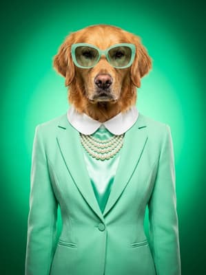 The Mint Satin Mogul - Golden Retriever Pop Art Portrait | Fabled Paws