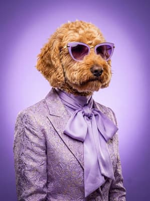 The Lavender Brocade Executive - golden doodle Pop Art Portrait | Fabled Paws
