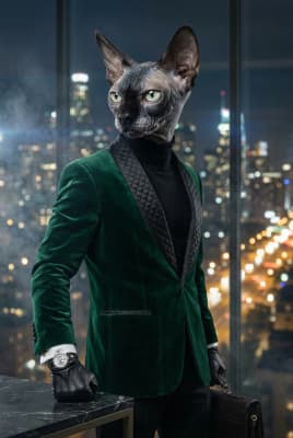 The Pine Velvet Powerhouse - Sphynx Executive Portrait | Fabled Paws